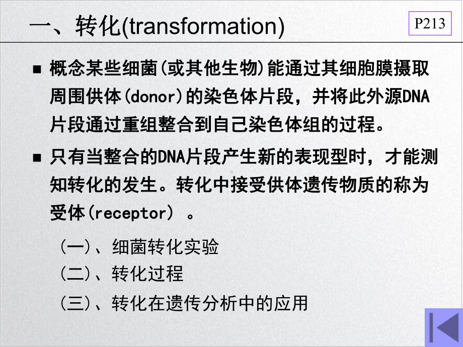 细菌和病毒的遗传转化接合示范课件.ppt_第3页