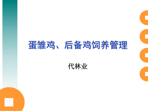 蛋雏鸡、后备鸡饲养管理课件.ppt