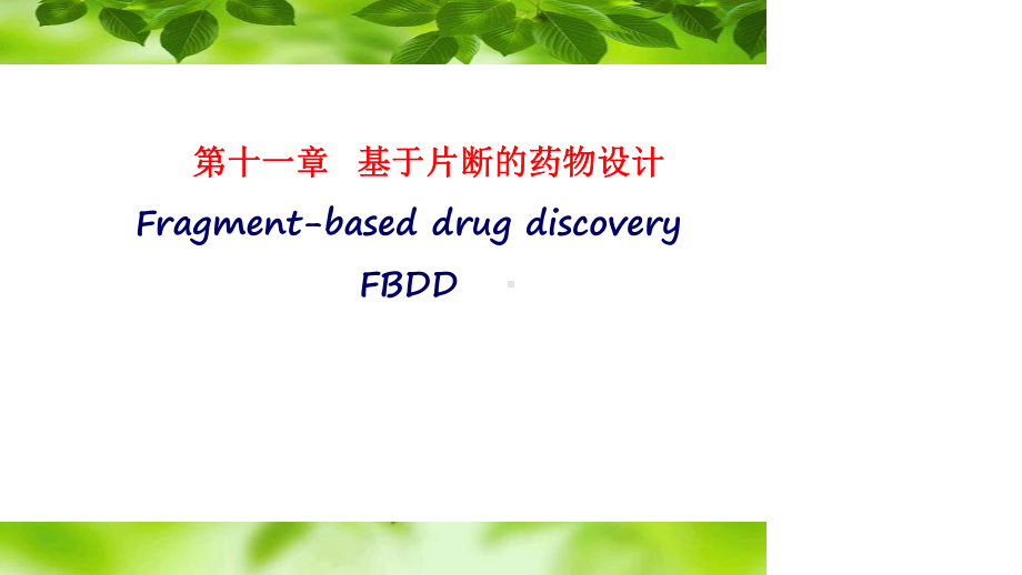 药物设计学第11章课件.ppt_第2页