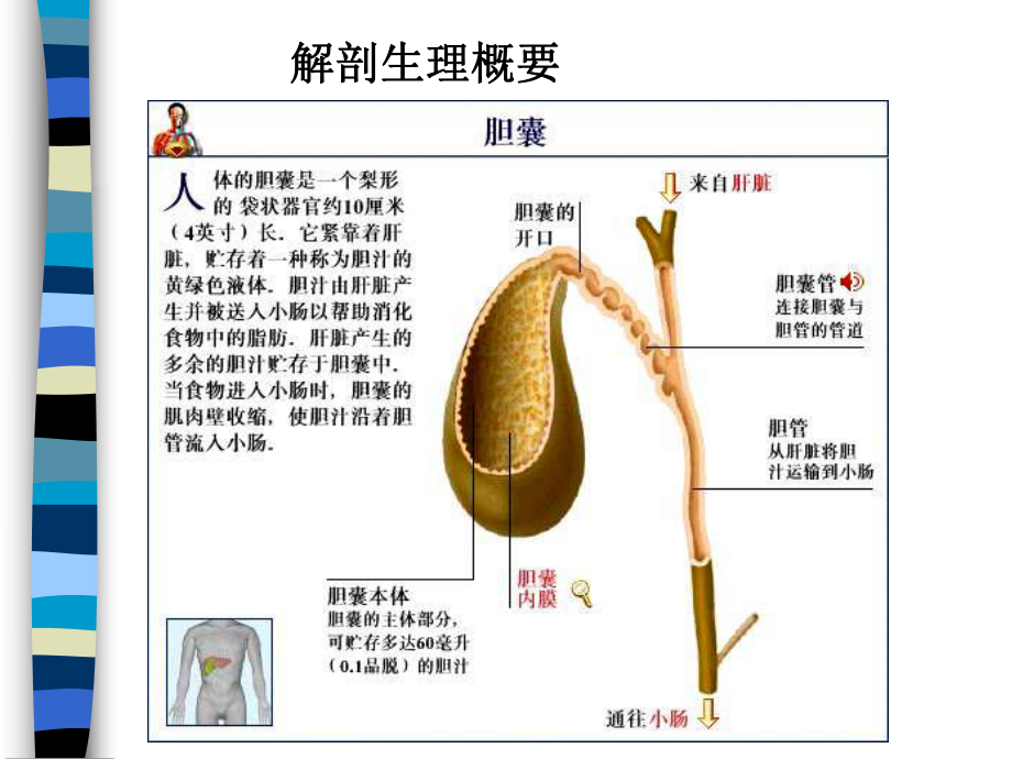 第二十六章-胆道疾病病人的护理课件.ppt_第3页