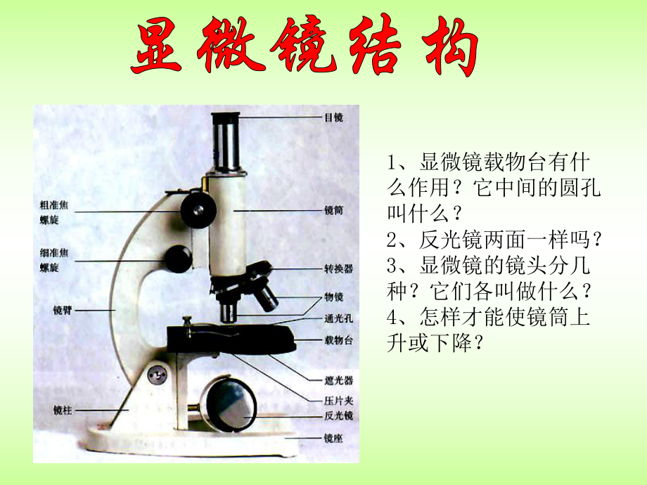 练习使用显微镜课件.ppt_第3页