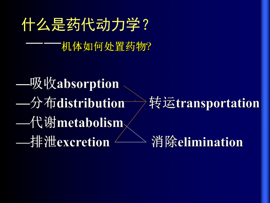 药代动力学培训课件.ppt_第3页