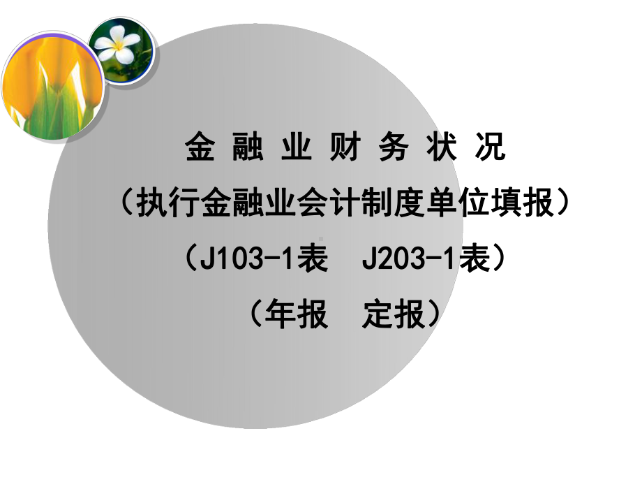 金融业财务状况(执行金融业会计制度单位填报)课件.ppt_第1页