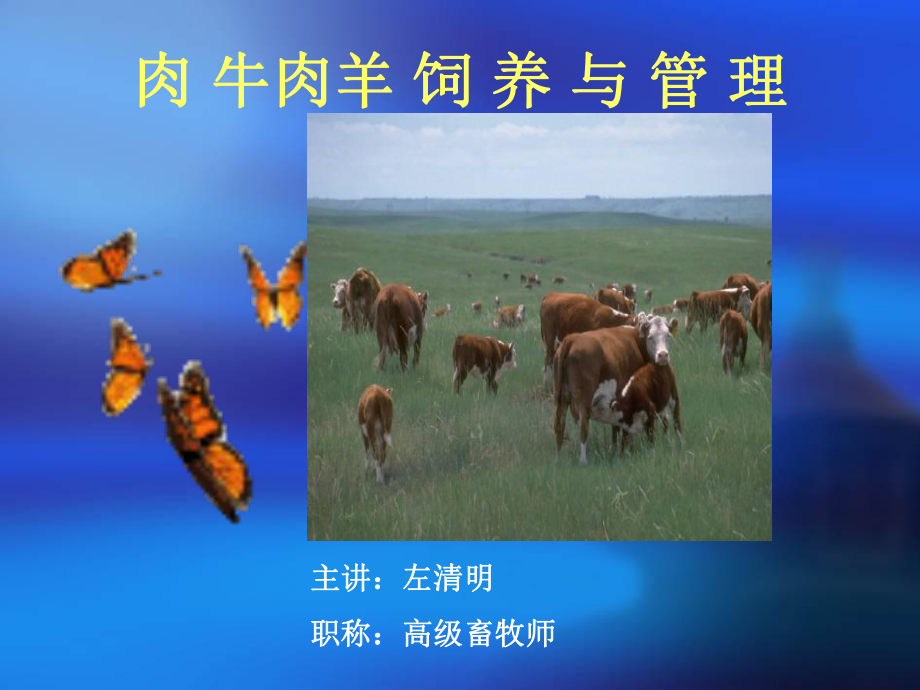 肉牛羊饲养管理课件.ppt_第1页