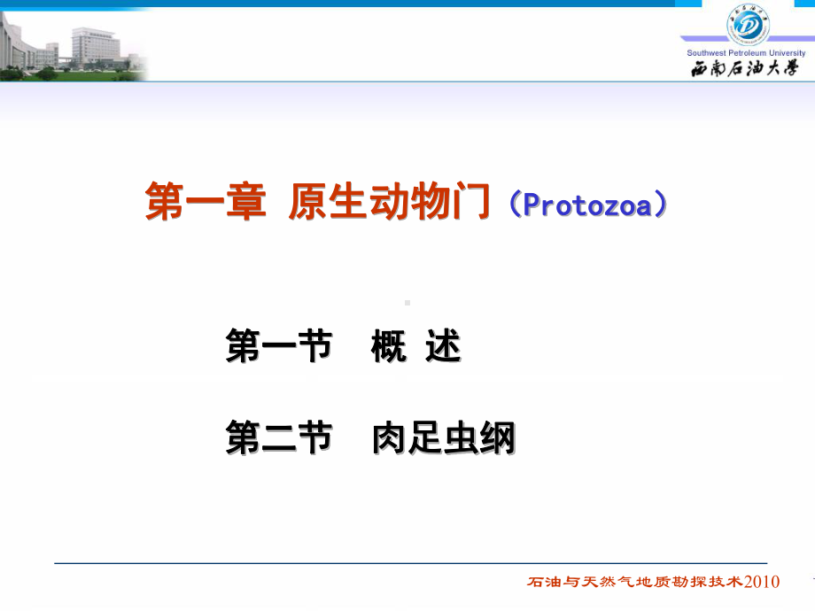 第一章原生动物门课件.ppt_第2页