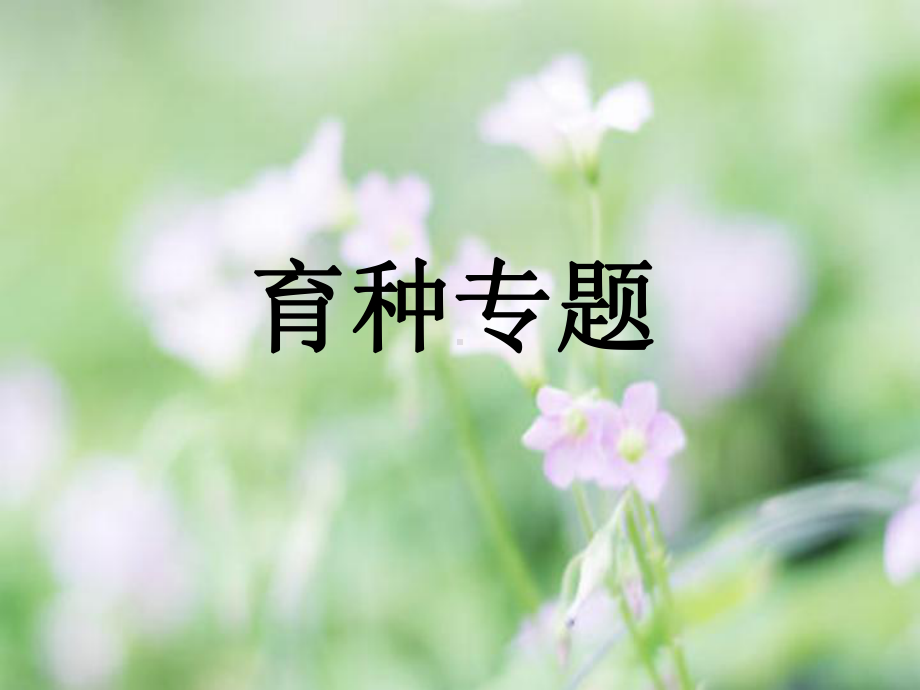 育种教学课件.ppt_第1页