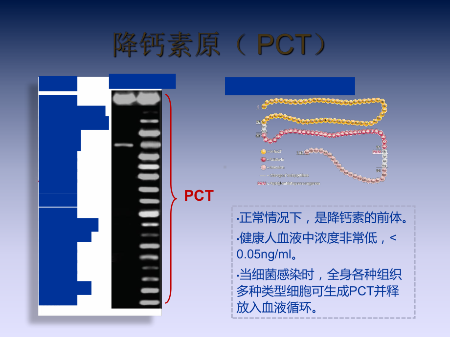 降钙素原检测及临床应用课件.ppt_第3页