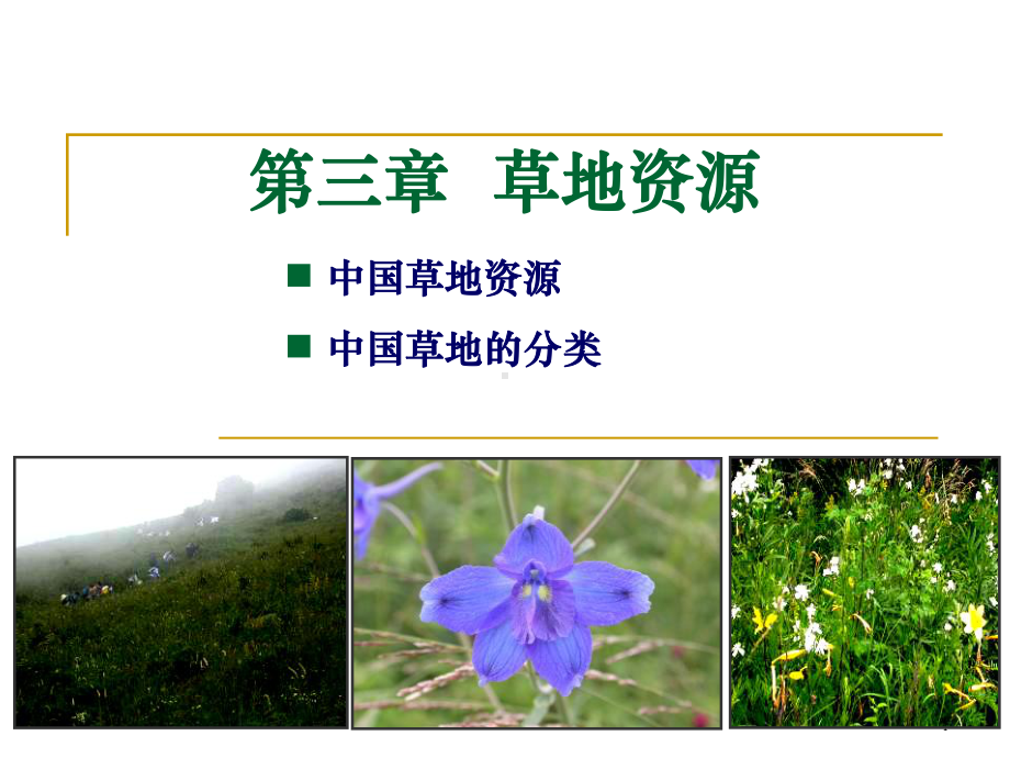 草地学-第三章草地资源剖析课件.ppt_第1页