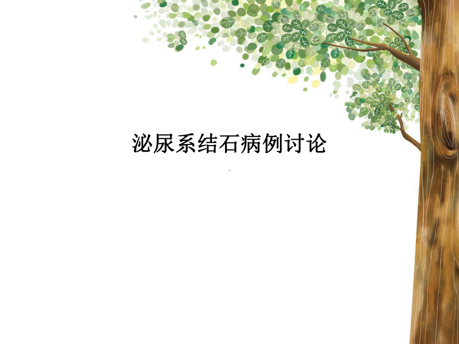 泌尿系结石病例讨论课件.ppt_第1页