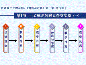 孟德尔的豌豆杂交实验一说课课件.ppt