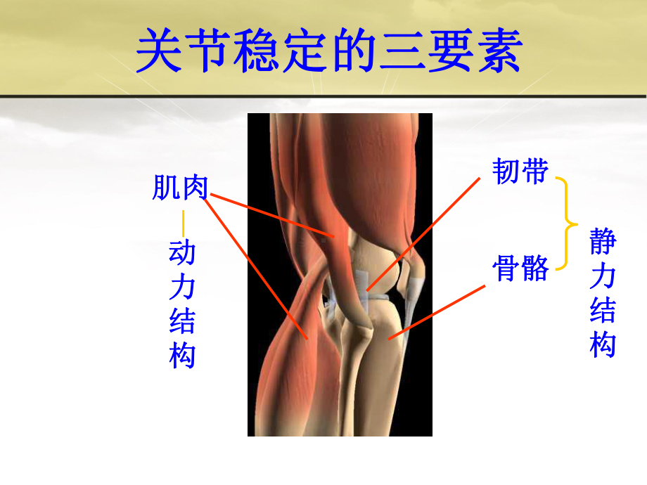 骨伤科脱位概论课件.ppt_第3页