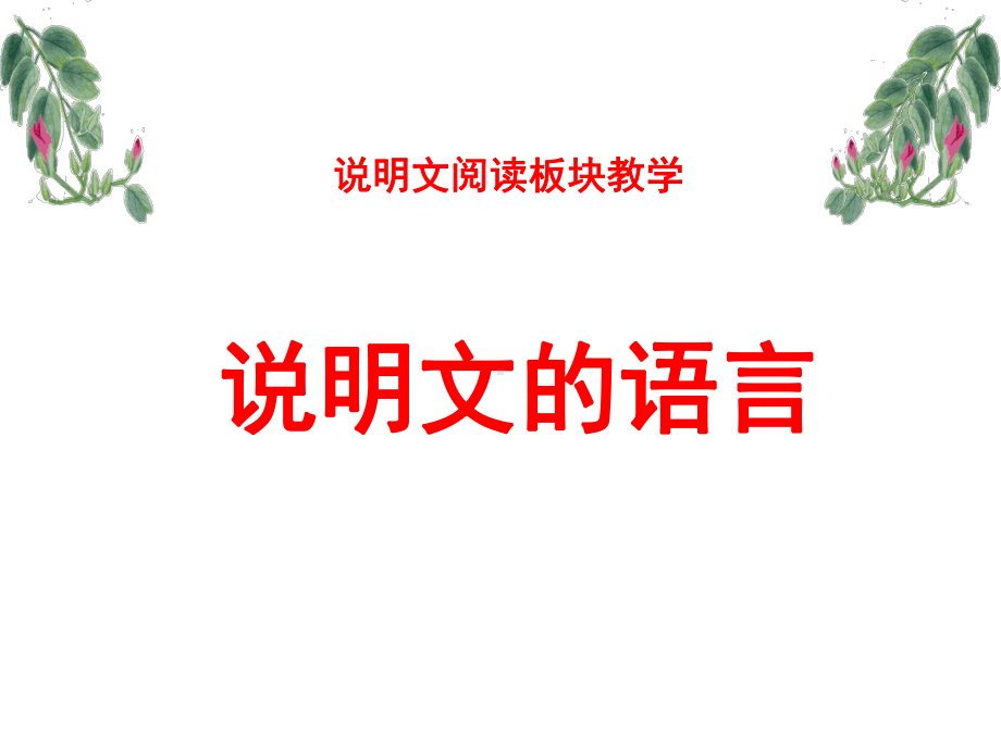 说明文语言的准确性课件.ppt_第1页