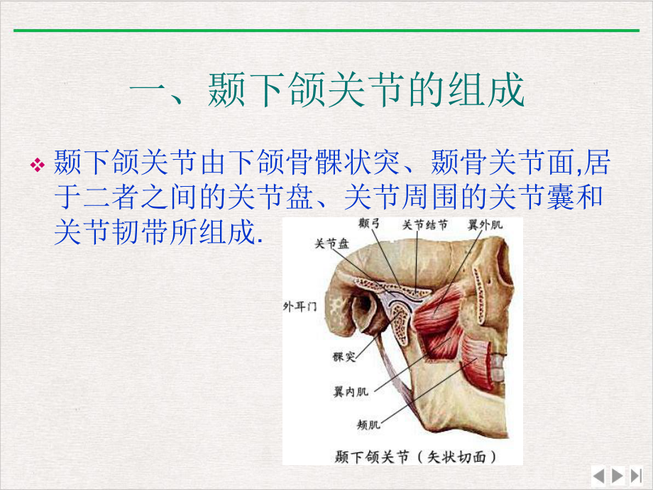 面部肌肉神经局解课件.pptx_第1页