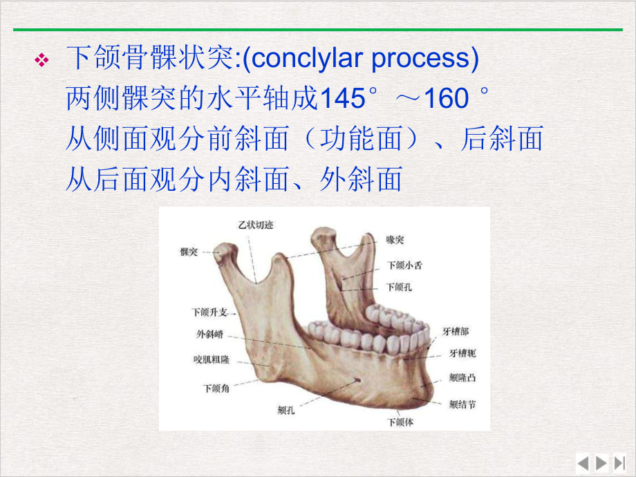 面部肌肉神经局解课件.pptx_第2页