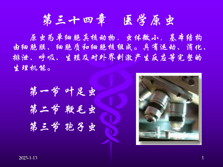 第三十四章医学原虫课件.ppt_第1页