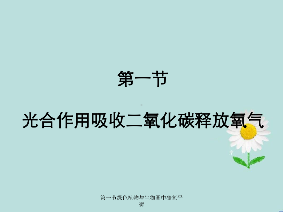 第一节绿色植物与生物圈中碳氧平衡课件.ppt_第2页