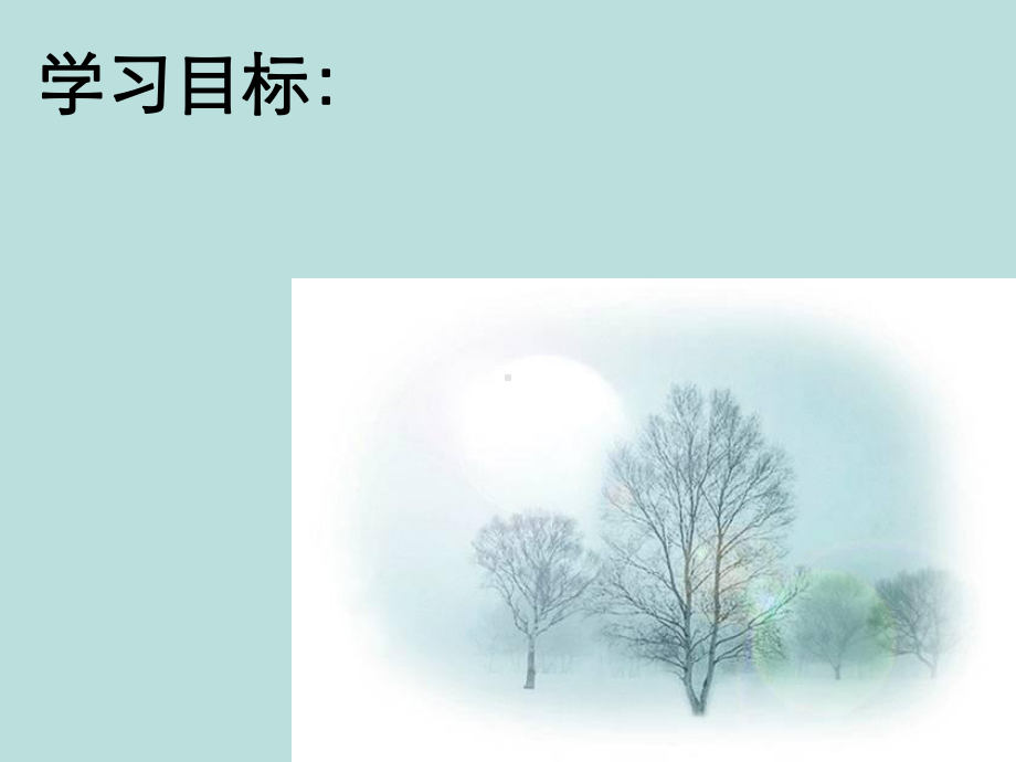 第一节绿色植物与生物圈中碳氧平衡课件.ppt_第3页