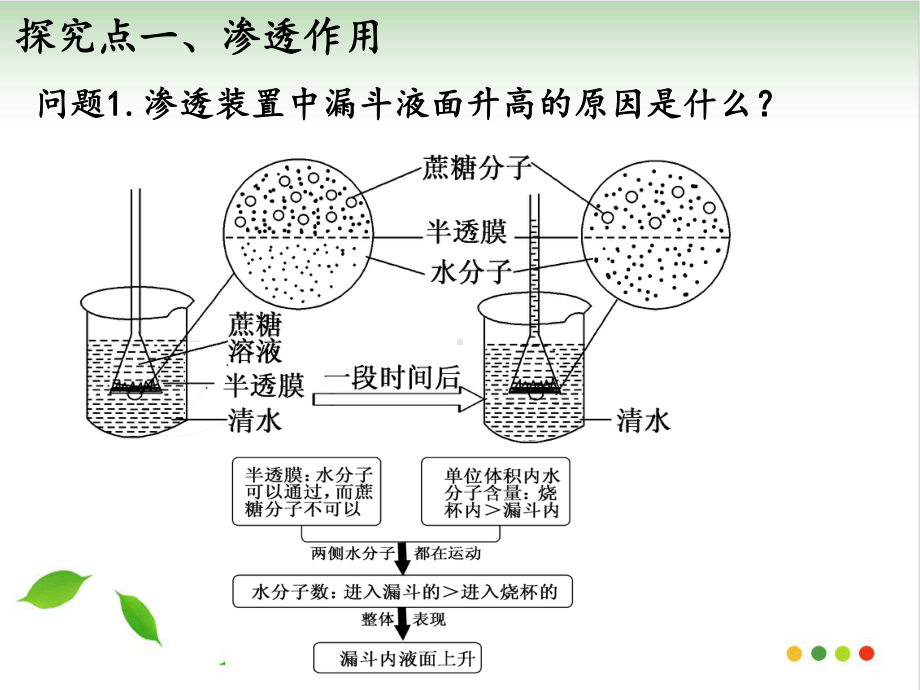 被动运输课件.ppt_第2页