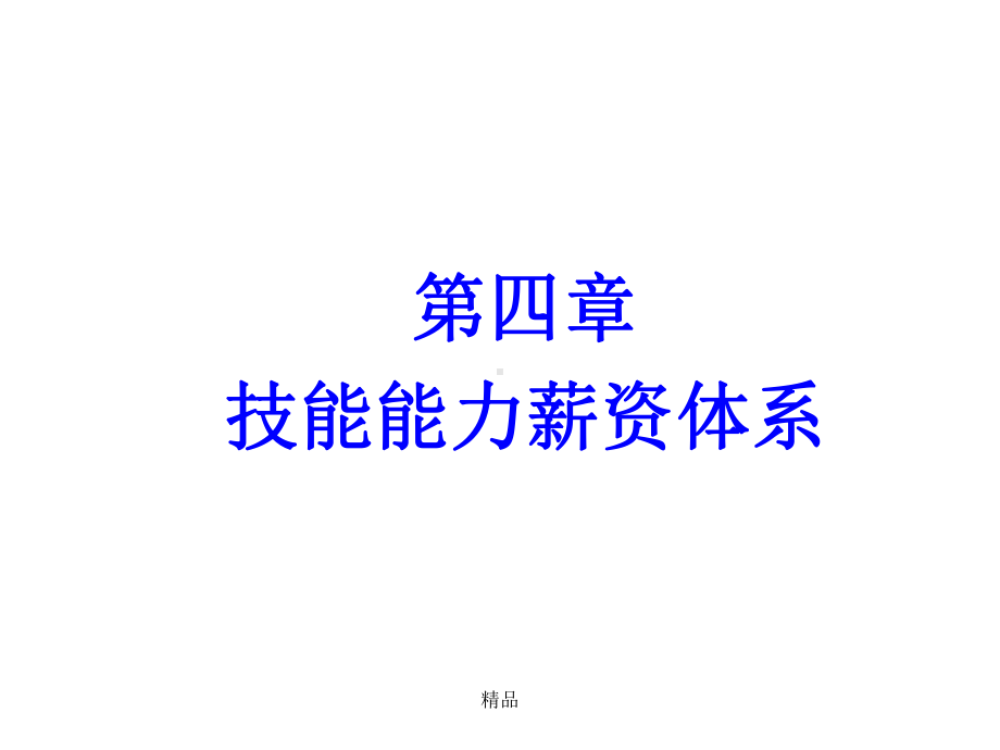 技能能力薪资体系培训课件.ppt_第1页