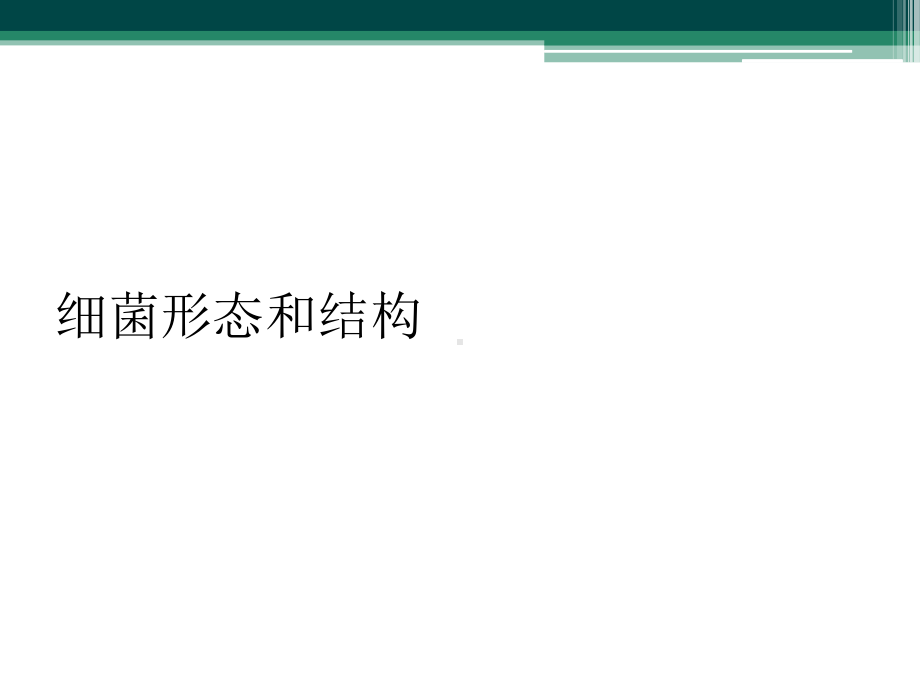 细菌形态和结构课件.ppt_第1页