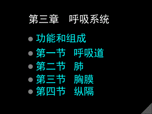 第三章-呼吸系统-课件.ppt