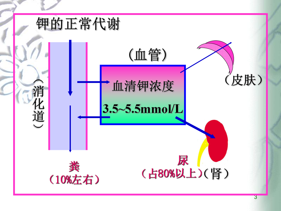 高钾与低钾的护理课件-002.ppt_第3页