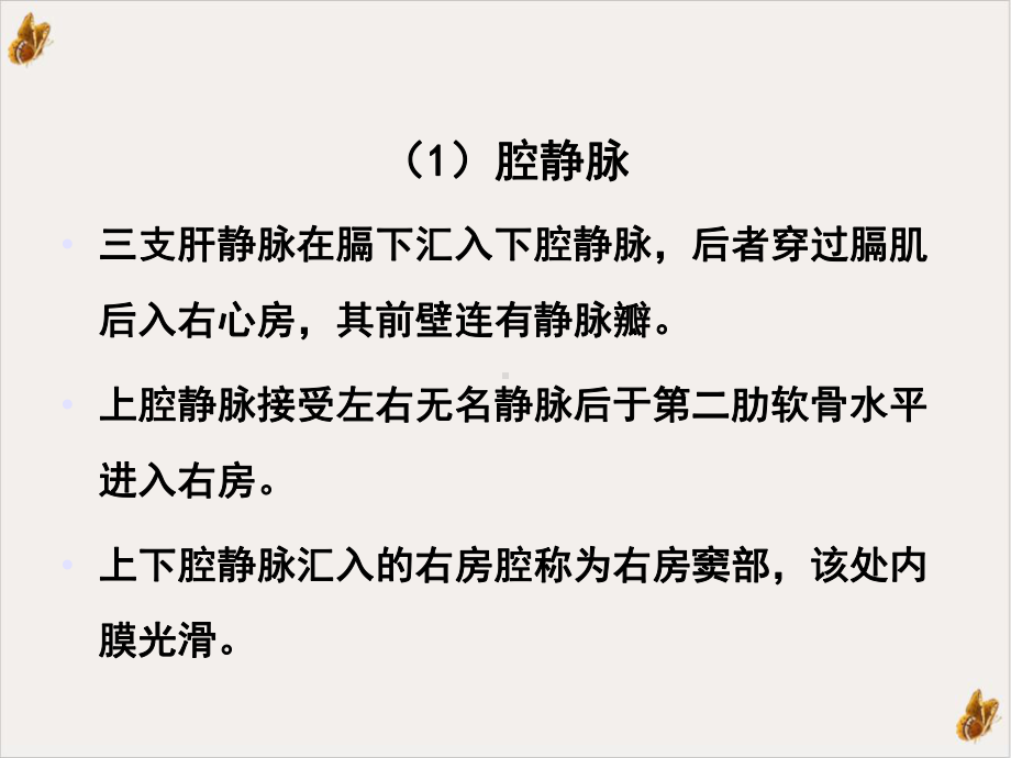 超声心动图的应用解剖及表准化测量教学课件.ppt_第3页