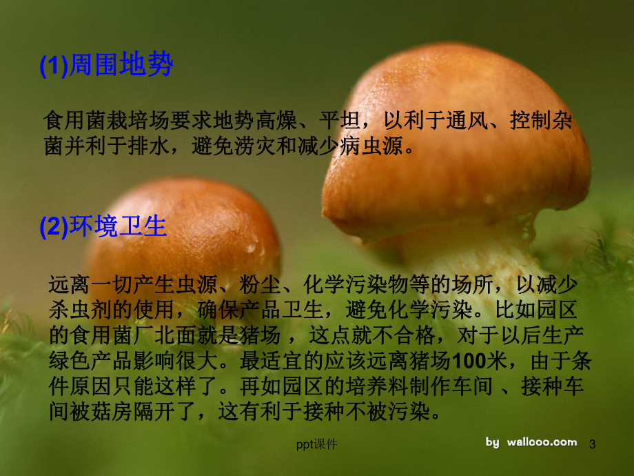 食用菌生产流程-课件.ppt_第3页