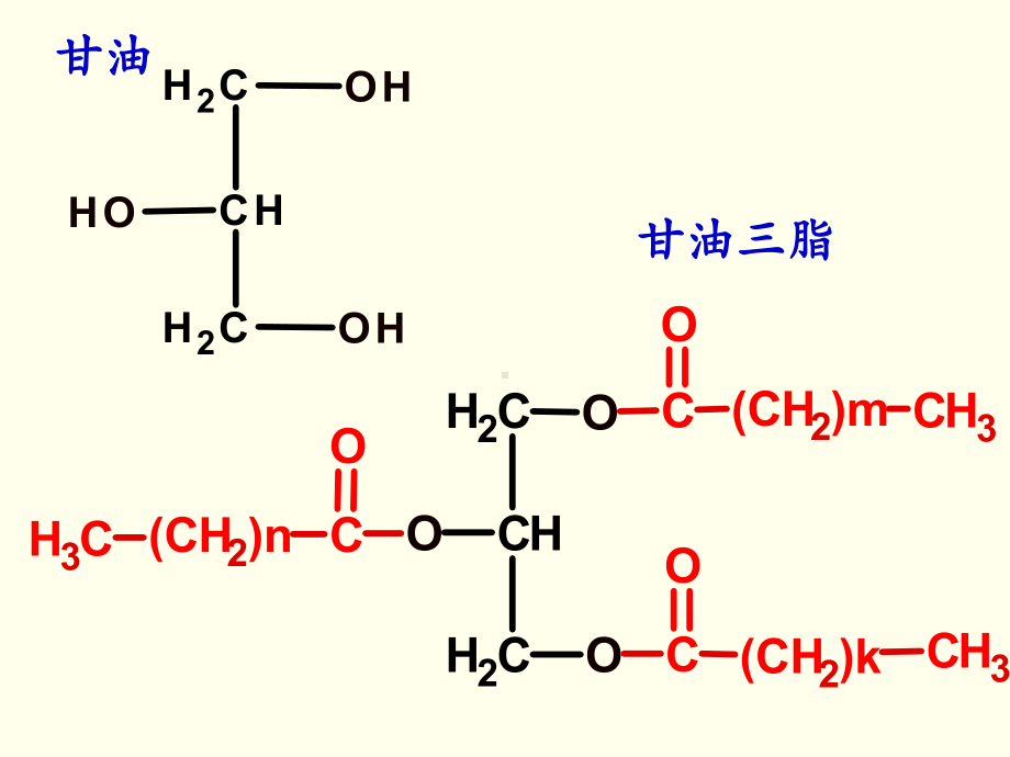 第八章脂类代谢课件.ppt_第3页