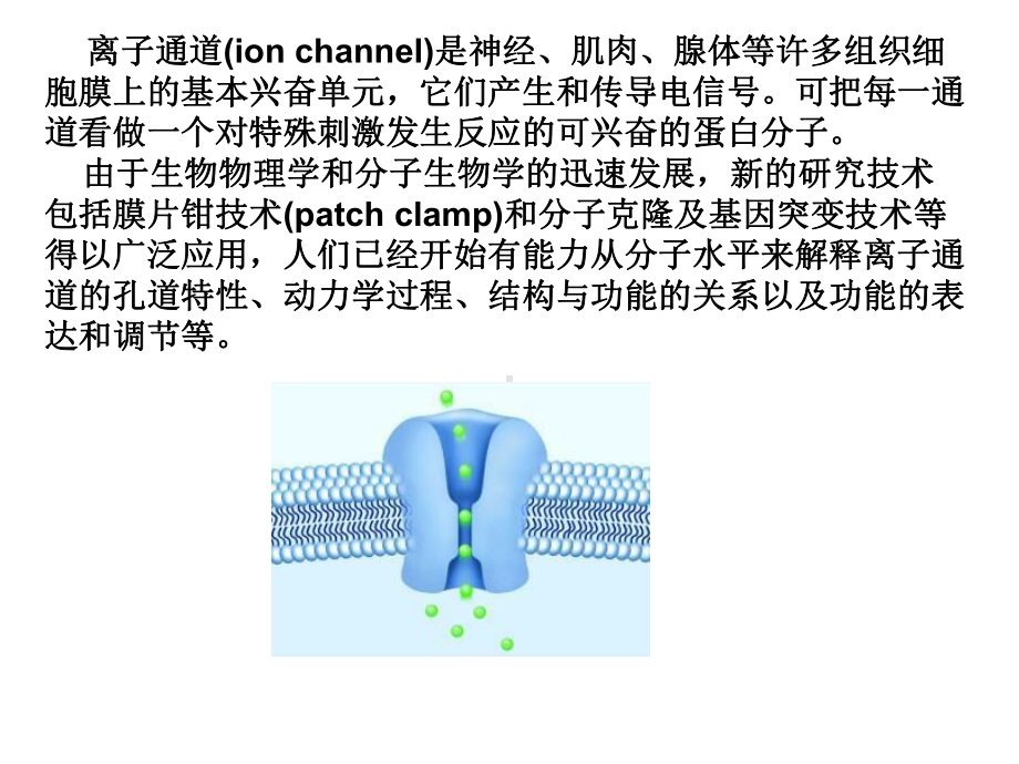 第二节离子通道课件.ppt_第3页