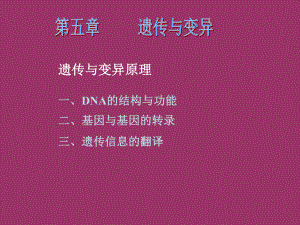 遗传与变异原理DNA的结构与功能基因与基因的转录课件.ppt