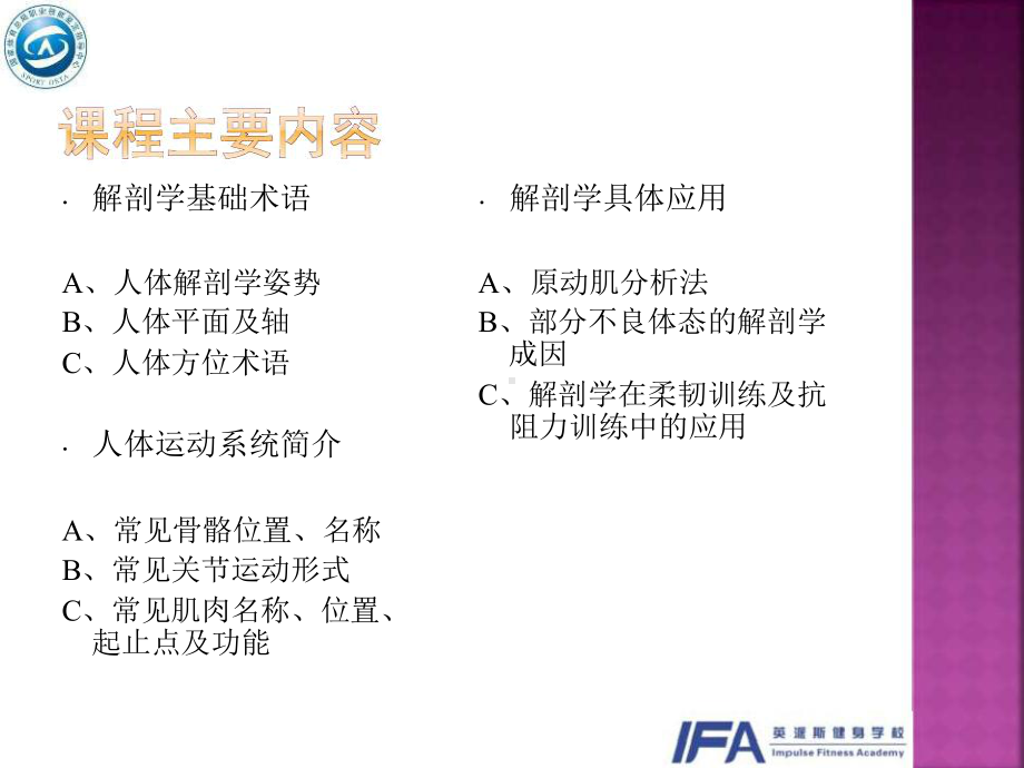 运动解剖学基础培训讲义课件.ppt_第3页