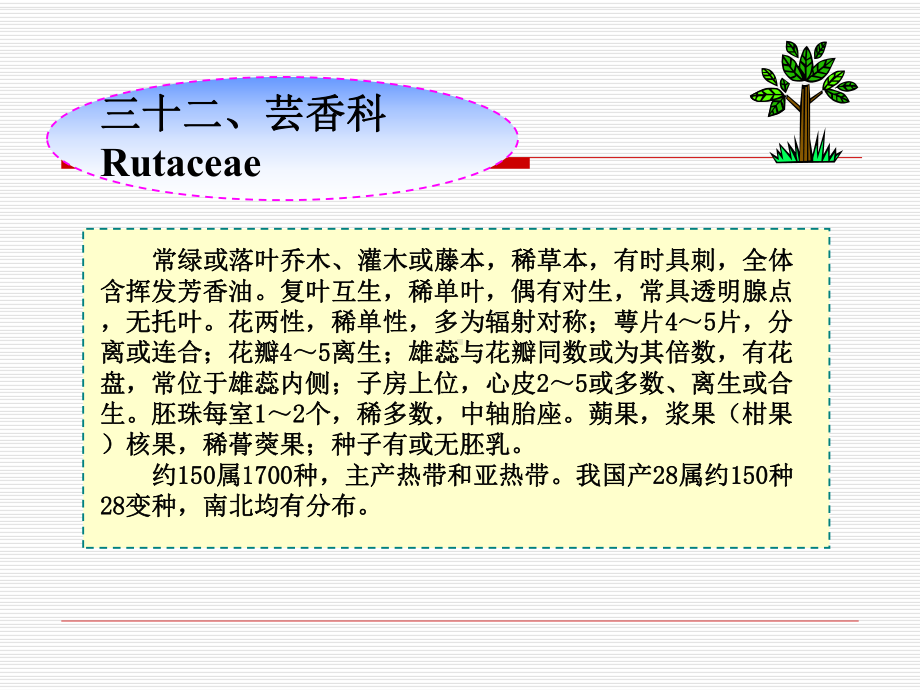 第十八章-芸香目-芸香科课件.ppt_第1页