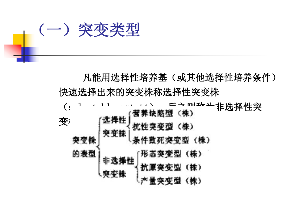 第九章-微生物的突变和诱变育种课件.ppt_第3页