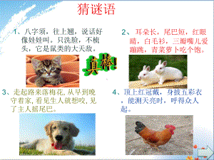 有关动物的作文优秀课件.ppt