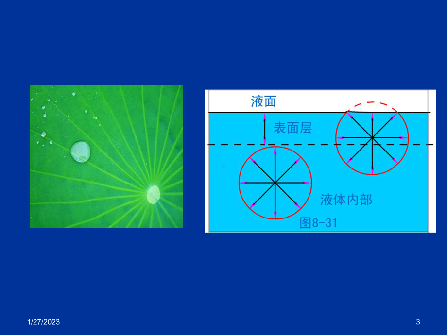 表面活性剂与药用高分子课件.ppt_第3页