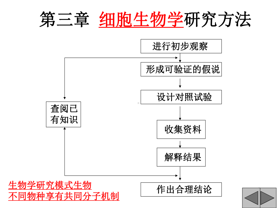 细胞生物学研究方法(同名545)课件.ppt_第1页