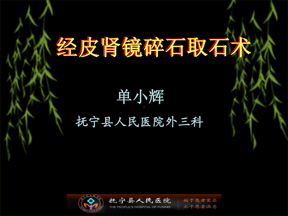 经皮肾镜碎石取石术课件（可编辑的）.ppt_第1页