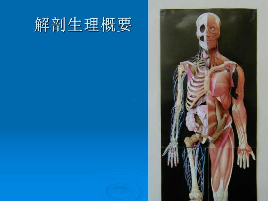 骨-折教学讲解课件.ppt_第3页