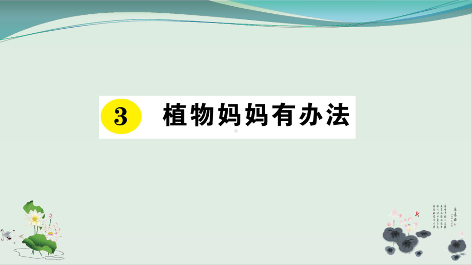 部编版植物妈妈有办法课件.ppt_第1页