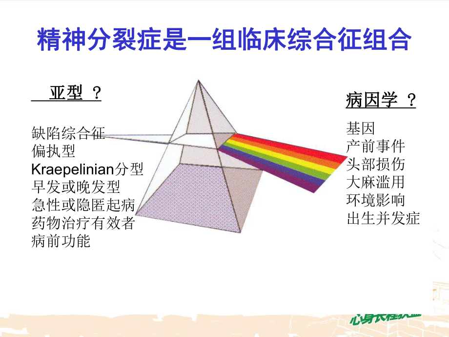 精神分裂症长期治疗原理课件.ppt_第2页