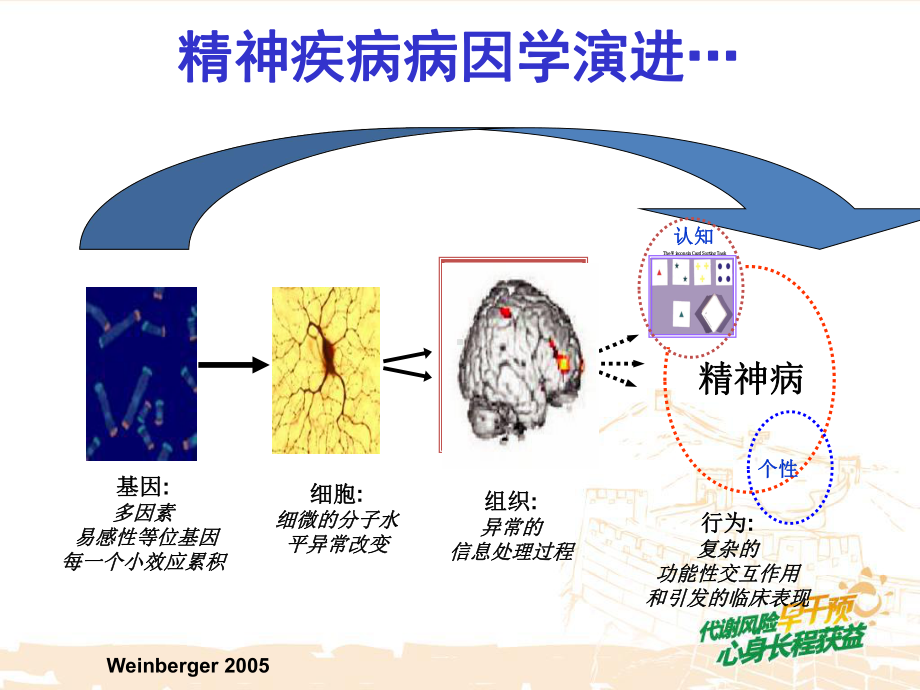 精神分裂症长期治疗原理课件.ppt_第3页