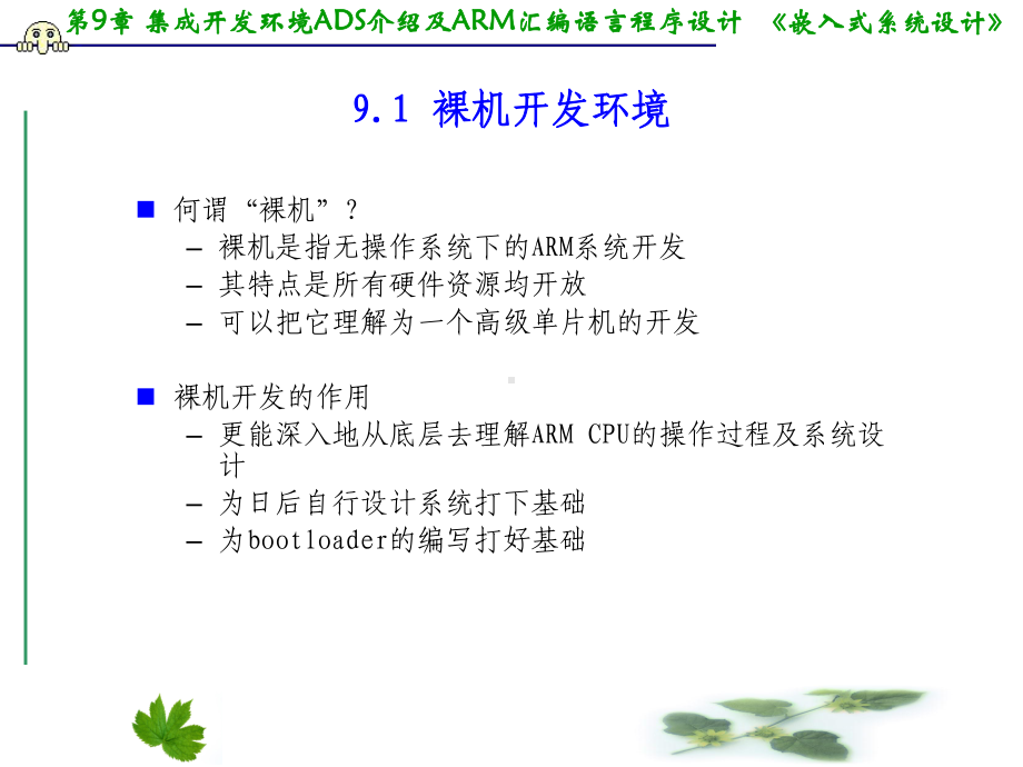 第9章ADS介绍及ARM汇编语言程序设计基础-课件.ppt_第2页