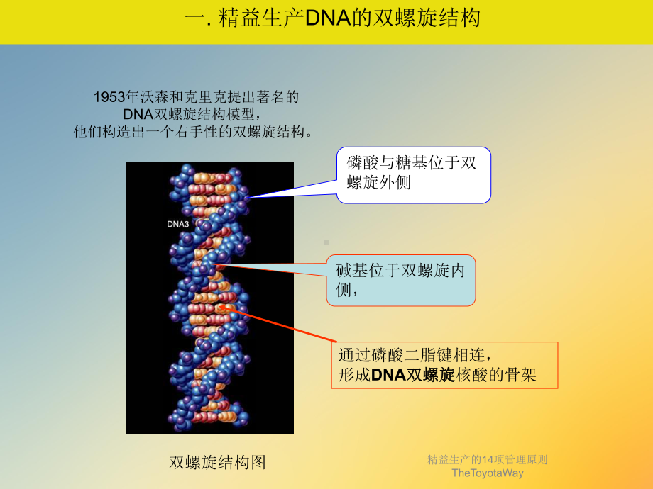 精益生产的14项管理原则TheToyotaWay课件.ppt_第3页