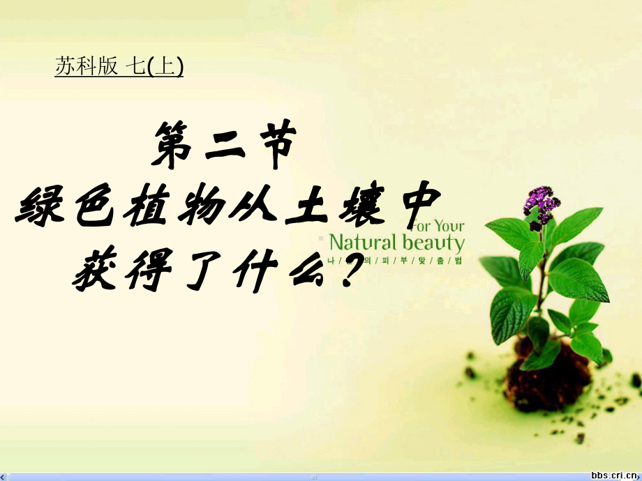 绿色植物的生长需要水和无机盐-课件2.ppt_第1页