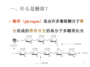 糖原的合成与分解课件.ppt