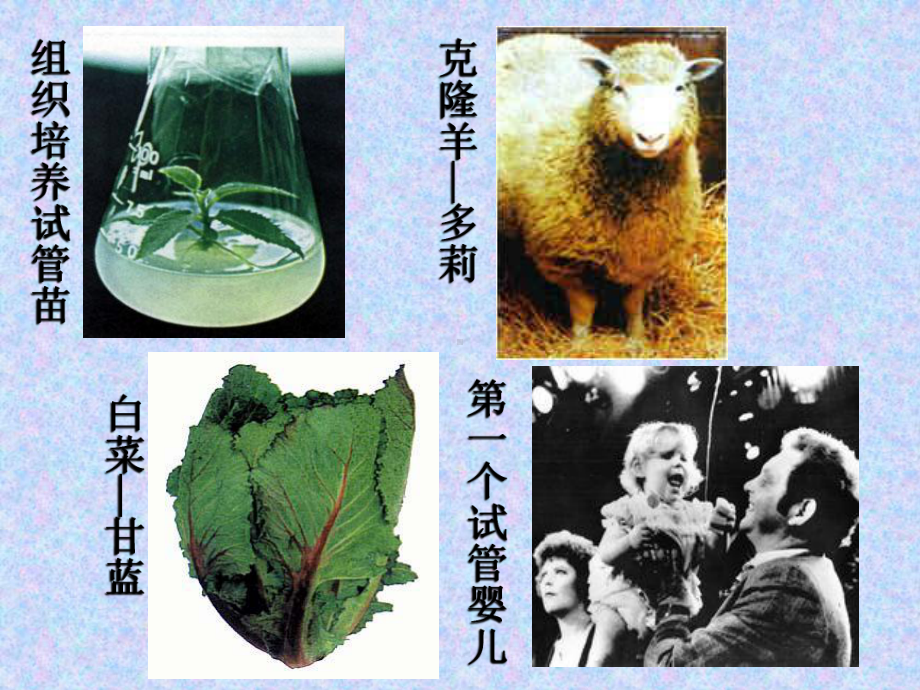 细胞的生物膜系统课件.ppt_第2页