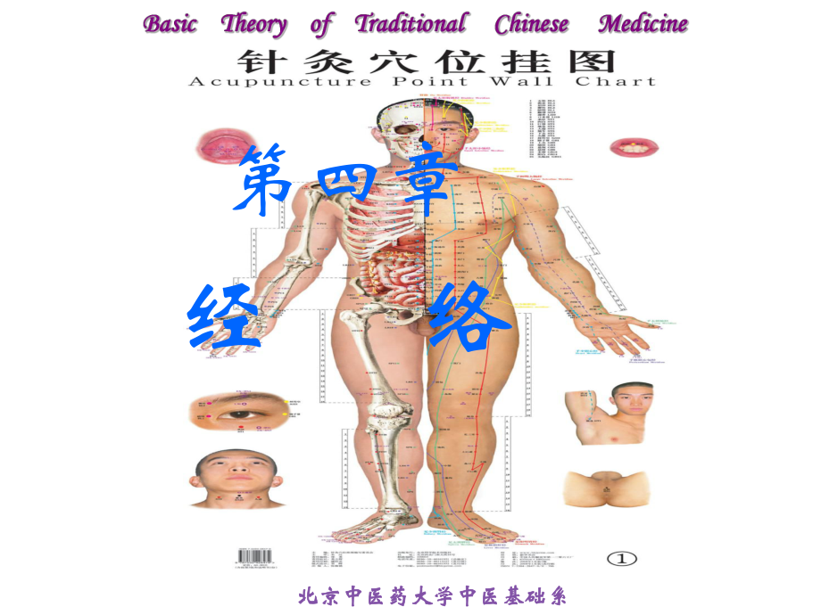 经络学说备课讲稿课件.ppt_第1页