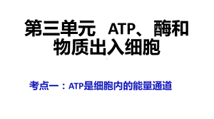 第三单元-ATP、酶和物质出入细胞课件.pptx