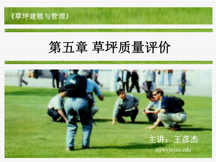 第五章草坪质量评价课件.ppt_第1页